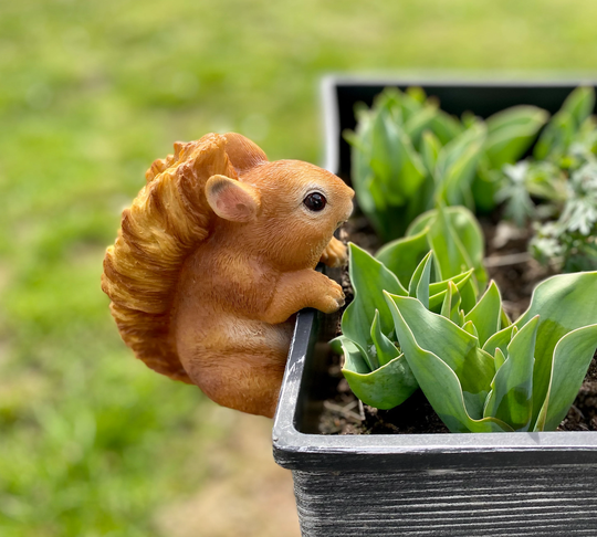 Red Squirrel Resin Plant Pot Hanger Climbing Novelty Garden Ornament Decoration Gift