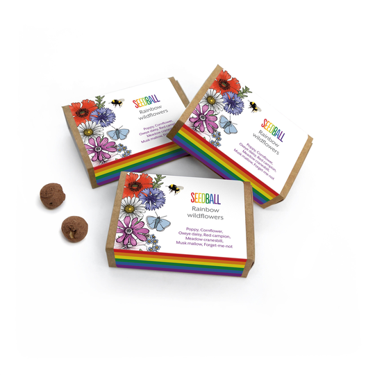 Pride Rainbow Wildflower Seed Ball Set Of Three Packets