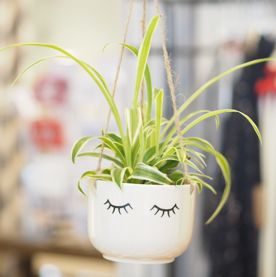 Sweet Eyelash Planters