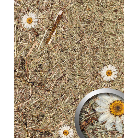 Wallface - Design panelling nature decor AL-11004 alpine white daisy textured wall panel with natural raw alpine flowers and herbs matt self-adhesive
