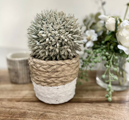 White Dipped Cement Planter Plant Pot Cover Natural Rope Basket