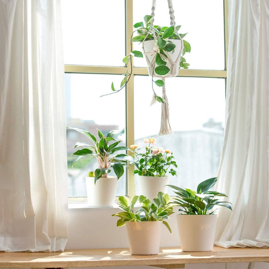 Pack Of Five Plastic Planters Modern Pots With Trays