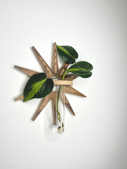 starburst Wall Propagation Holder | Hanging Mcm Decor Bud Vases