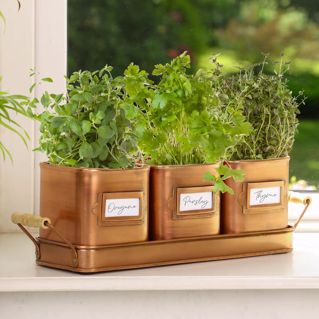 Set Of 3 Kitchen Windowsill Herb Planters in Fitted Industrial Style Basket With Wooden Handles Recycled Iron Hand Made Pots