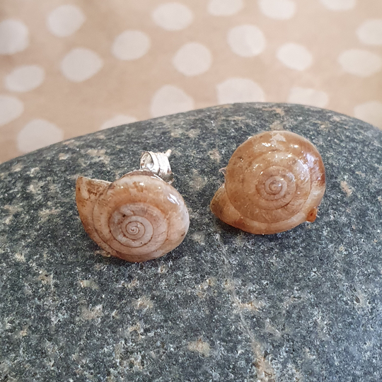 Tiny Natural Shell Stud Earrings, Organic Snail Jewellery For Eco-Friendly Woman Man, Unisex Gift Garden Nature Lover, Quirky