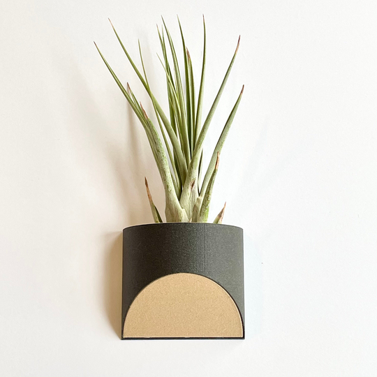 Magnetic Air Plant Holder