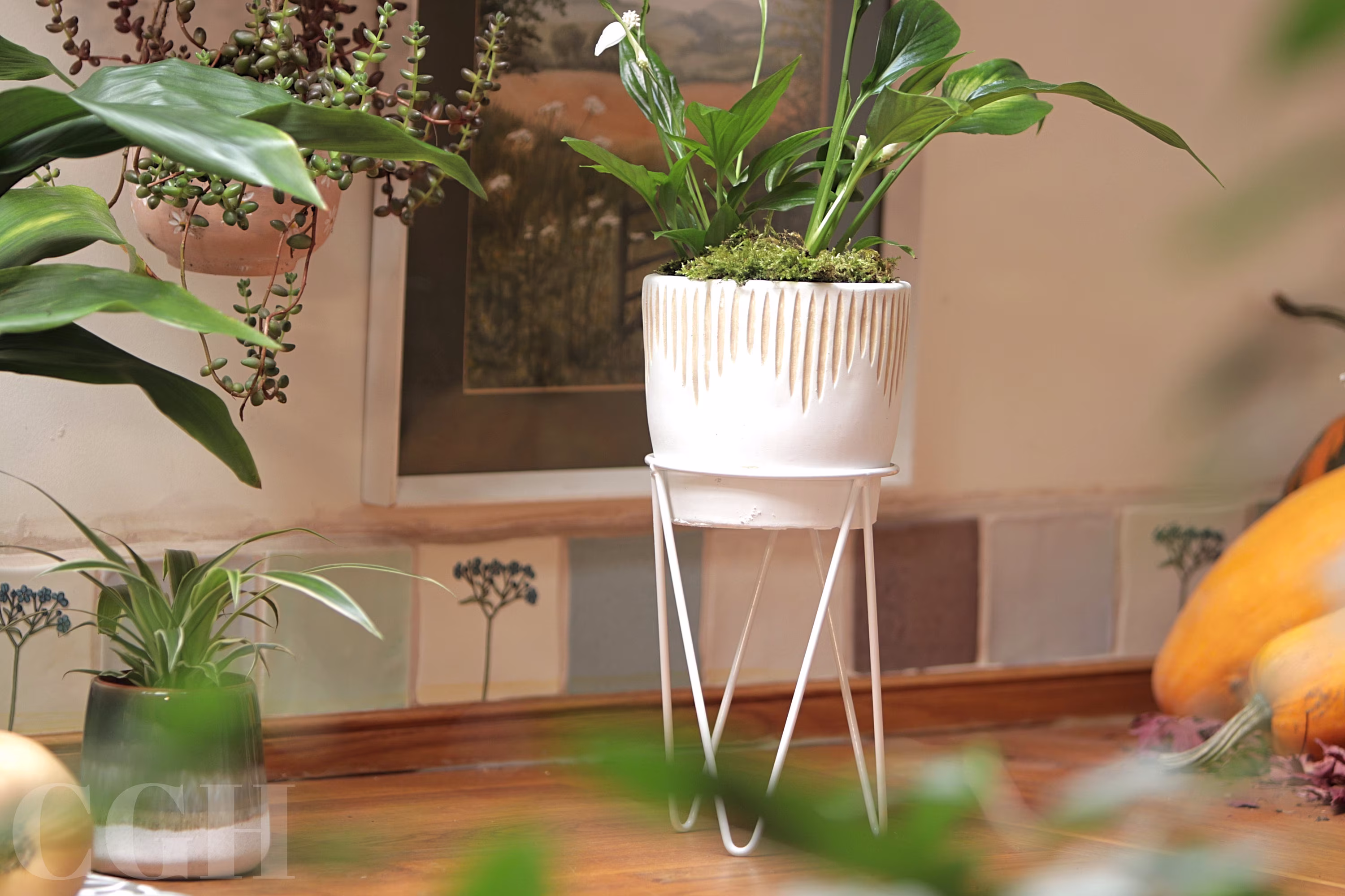 Planter Pot Cement White With Wire Stand Sgraffito - Industrial Indoor Home Decor Sass&belle Succulent Garden Plants