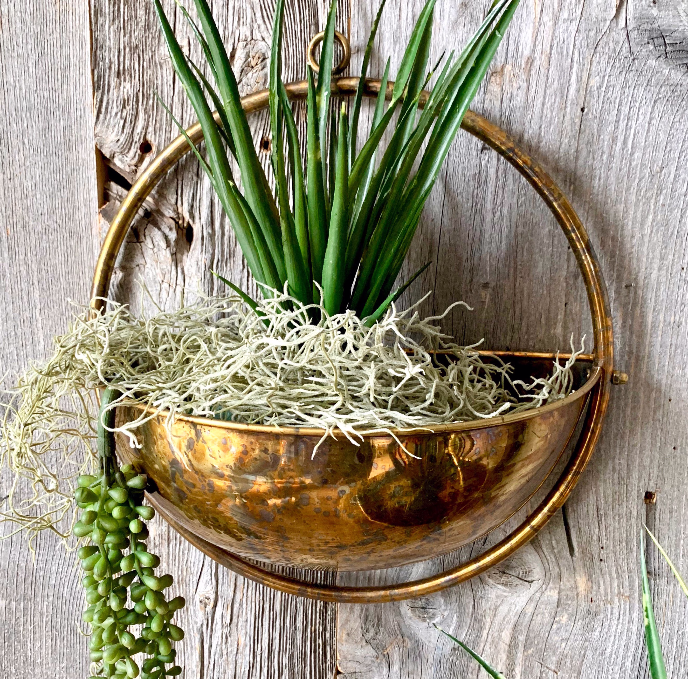 Orbit Wall Planter
