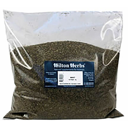 Mint - 1 Kg Bag - 546 - Hilton Herbs