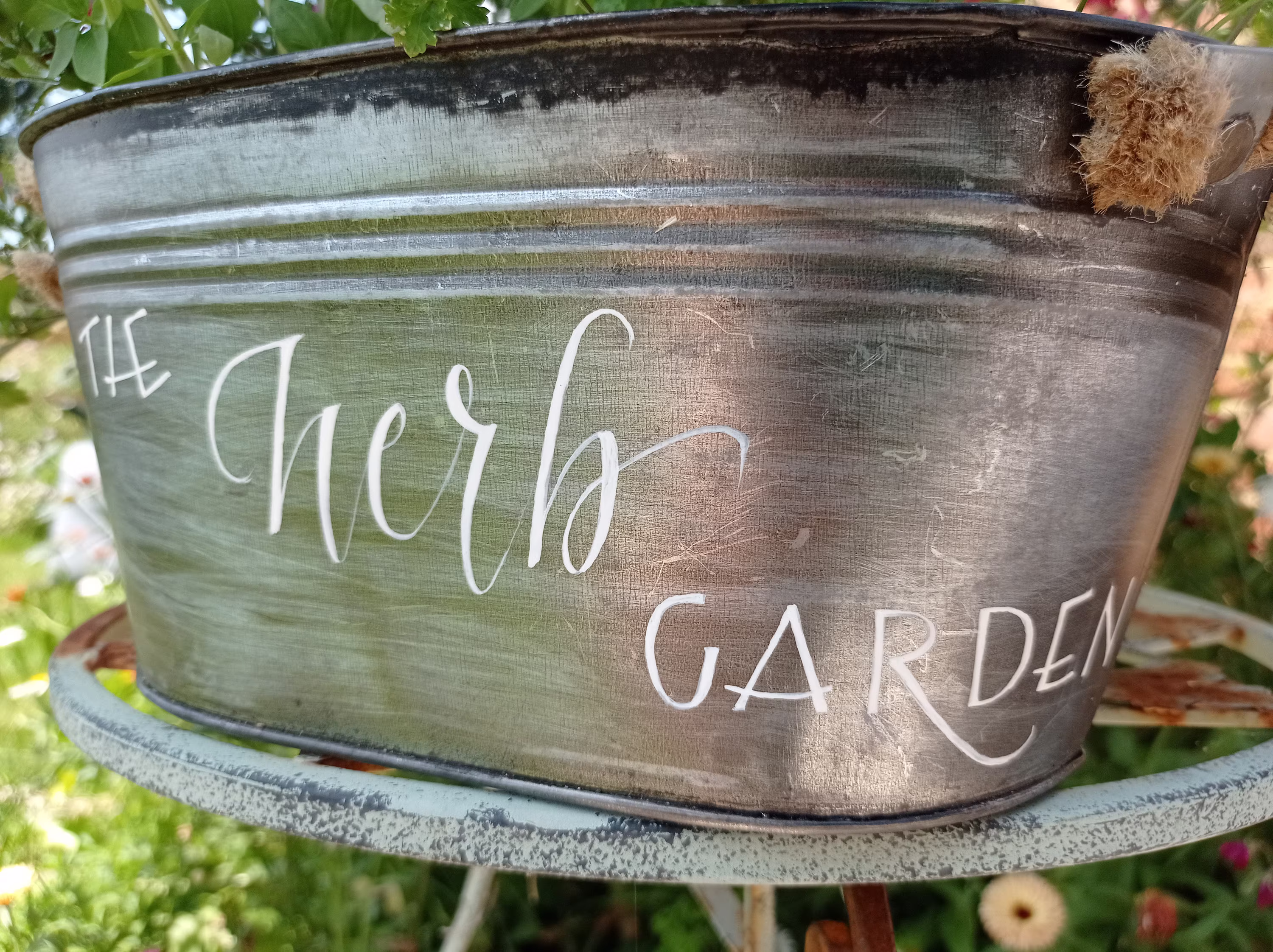 The Herb Garden
