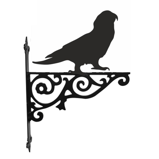 Amazon Parrot Ornamental Hanging Bracket - Contemporary Basket Wall Mounted Decorative Garden Black