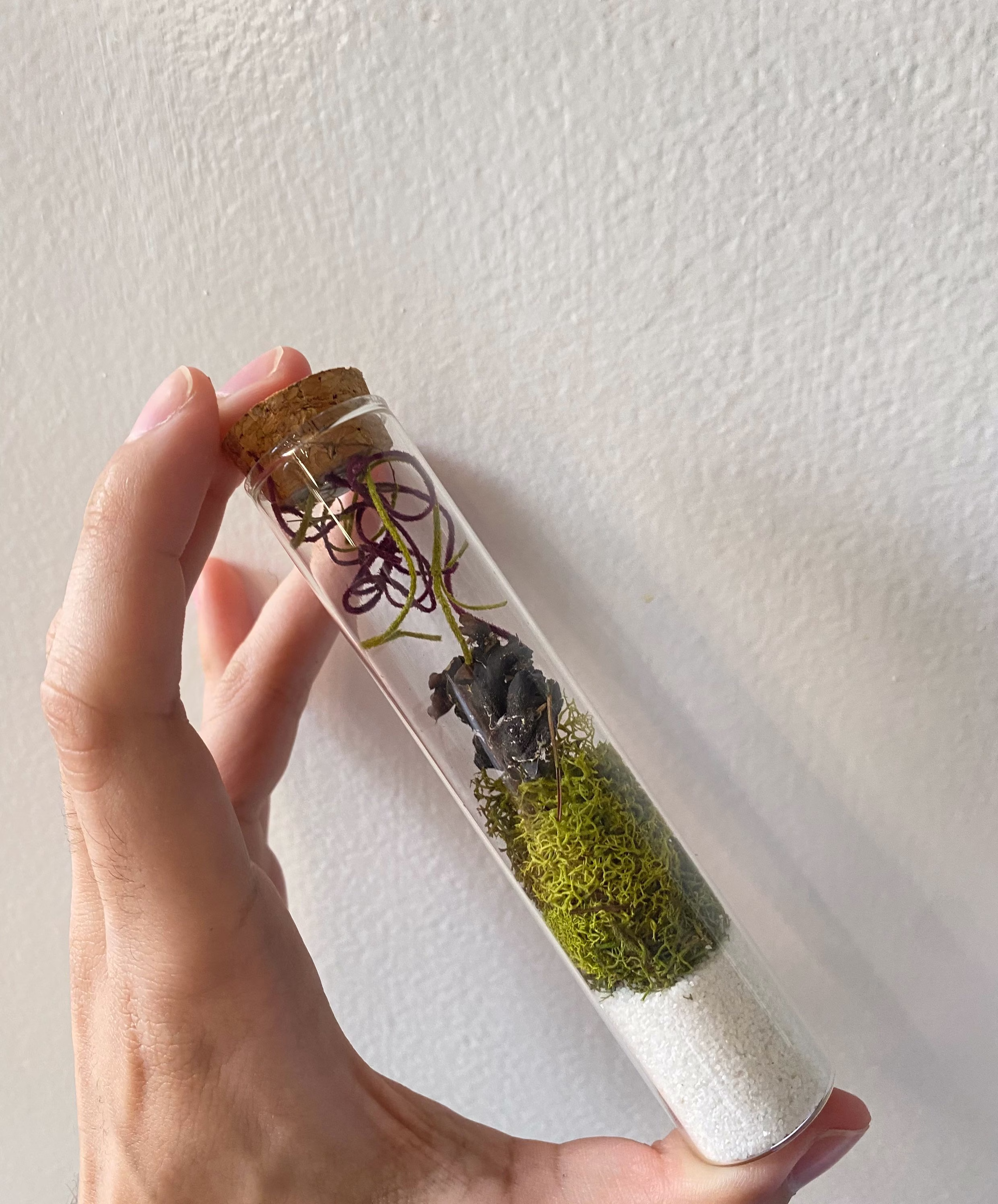Glass Terrarium Tube/Vile