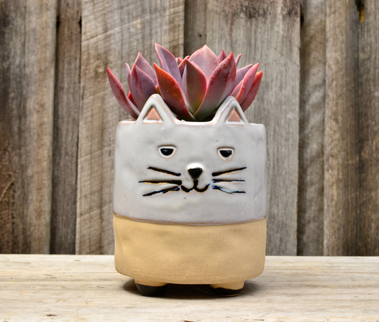 Ceramic Footed Animal Planters Cat & Dog
