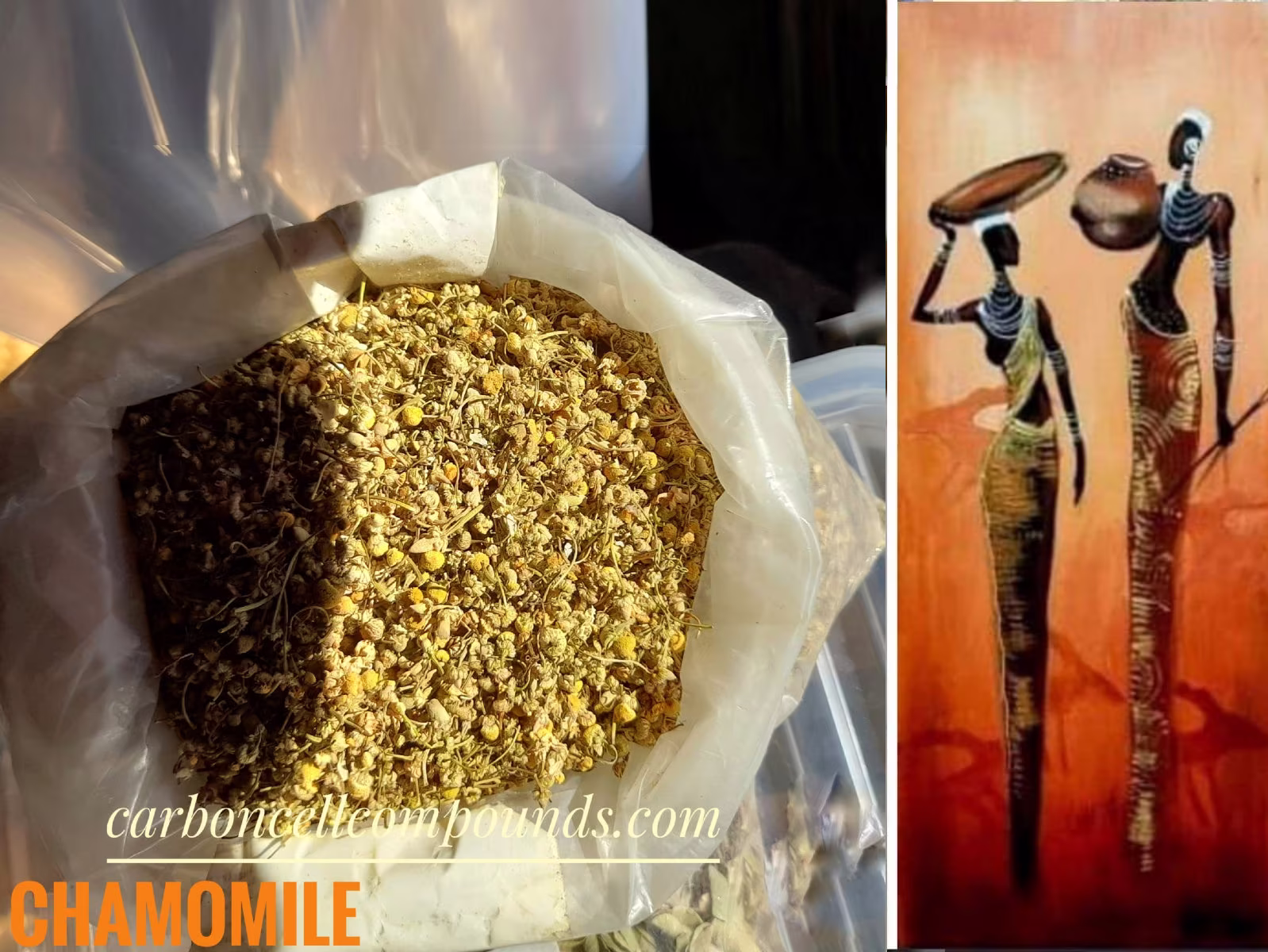 Chamomile Wild Herb Flowers | Country Origin. Egypt - Free Domestic Shipping | Intn'l | For Orders Up To 99 Dollars