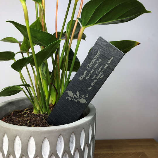 Personalised Christmas Slate Plant Markers, Gift, Stocking Filler, Flower, Herb, Stakes, Birthday, Gift For Gardener