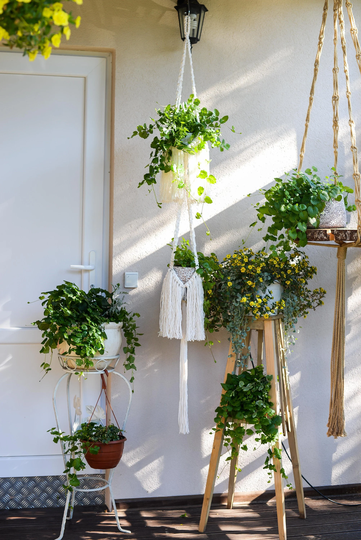 Double Macrame Plant Hanger, Plant Pot Holder, Indoor Room Decor, Fringe Hanger, Holder