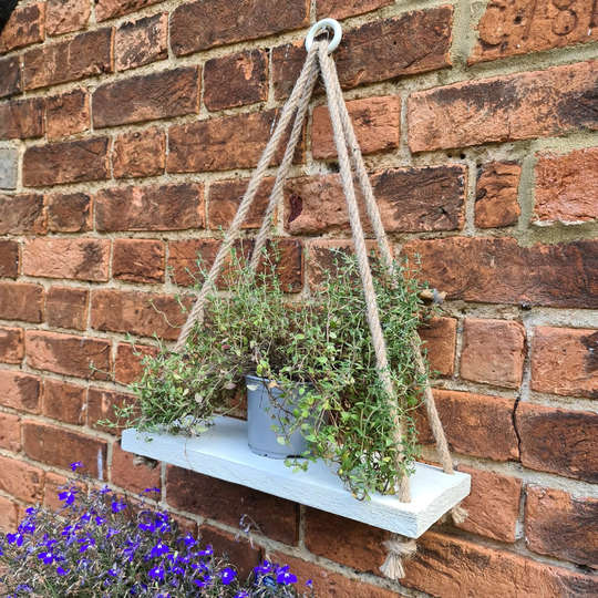 Hanging Wood Shelf With Rope Painted Off White For The Garden Bathroom Patio Or Kitchen Holds Herbs Flowers Plants Candles Bubble Bath