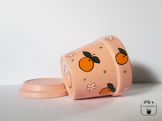 Peach Pink Pot | Hand Painted Planter Succulent Pots Terracotta Pots Clay Pot