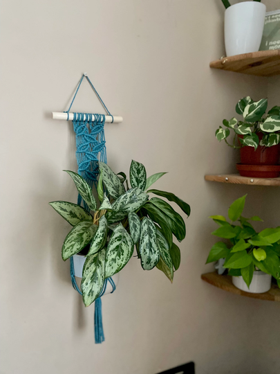 Teal Blue Macrame Plant Hanger, Boho Home Decor, Botanical Wall Art, Eco Friendly Gift For Lover, Hanging, Indoor Pot Holder