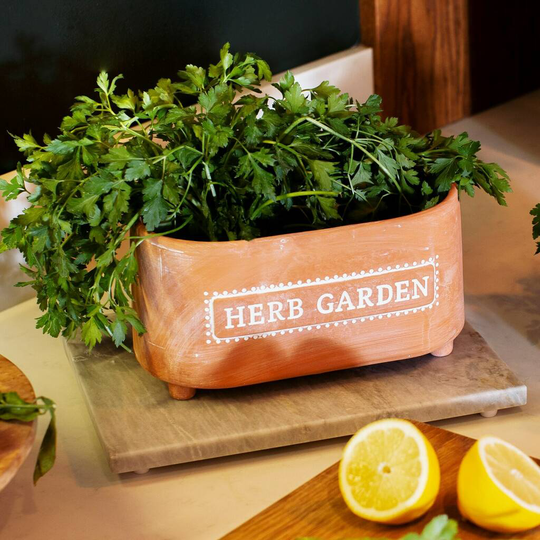Herb Garden Terracotta Planter