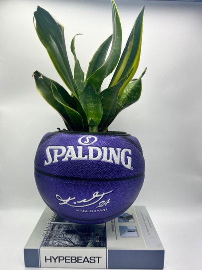 The Green Mamba Basketball Planter/Indoor
