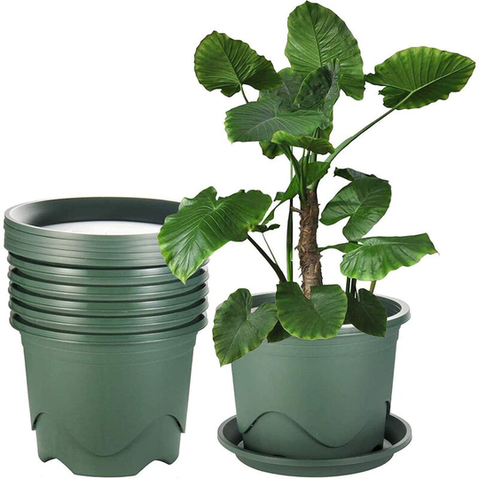 Briday - Pots for Plants Outdoor, 9.5 Inch Plastic Planters, Flower Pots with Drainage Hole and Tray, Pack of 6, Plants not Included