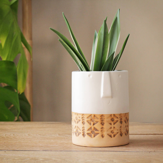 Small Face Planter