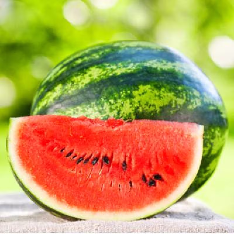 Rare Original Vegetable Seeds Watermelon "Rose Of The South East