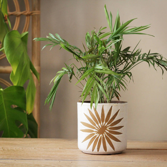 Terracotta 'Sun' Planter