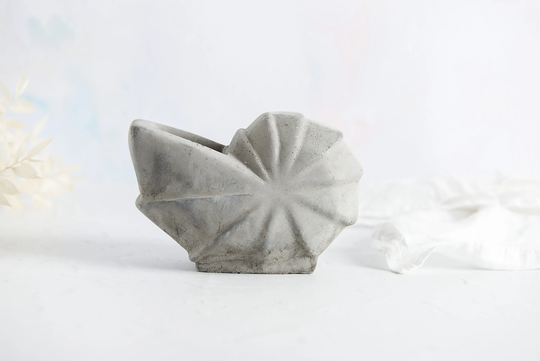 Concrete Ammonite Shell Succulent Holder, Perfect For Air Plants Or Small Succulents & Available in Several Colours