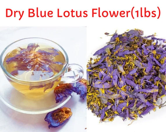 Dry Blue Lotus Flower Bulk Pack(Nymphaea CaeruleaLucid Dreaming Tea Herbs/Best Organic Flowers/Dried Bulk Flowers/Egyptian