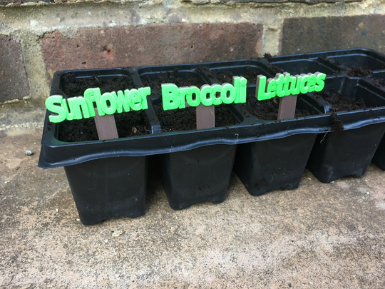 Seed Tray Stakes/Garden Markers Plant Pot Labels Herb Vegetable Marker Label Your New Seeds