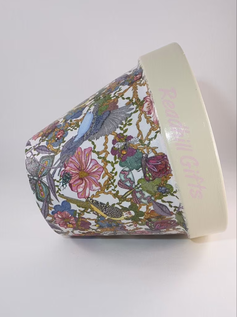 Hand Decoupaged Budgies, Flowers, Butterflies & Bugs Plant Pots