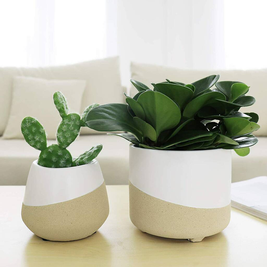 Pack Of Two Ceramic Round Planters White Beige