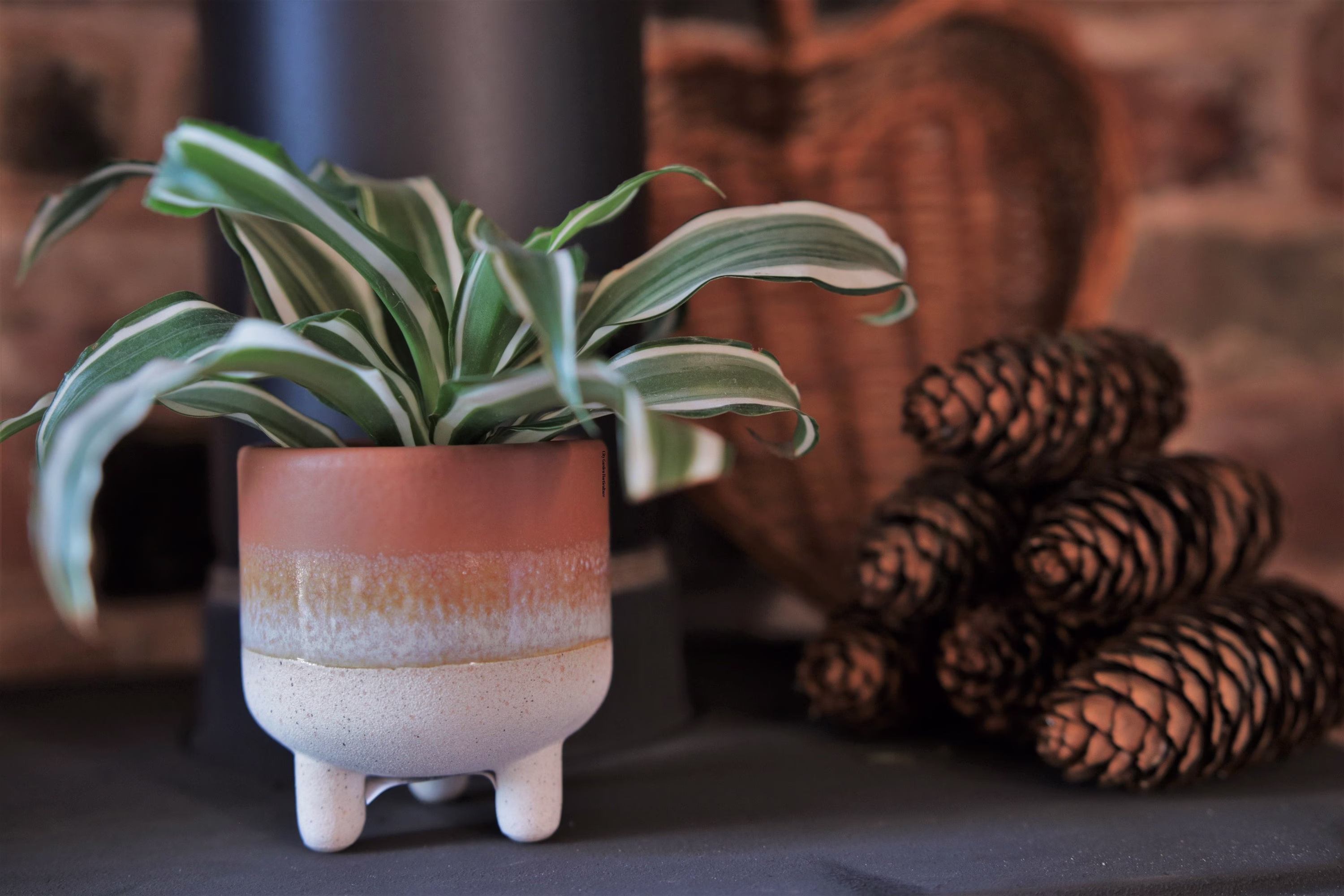 Sass & Belle Mojave Glaze Brown Planter Plant Pot Cactus Bohemian Home