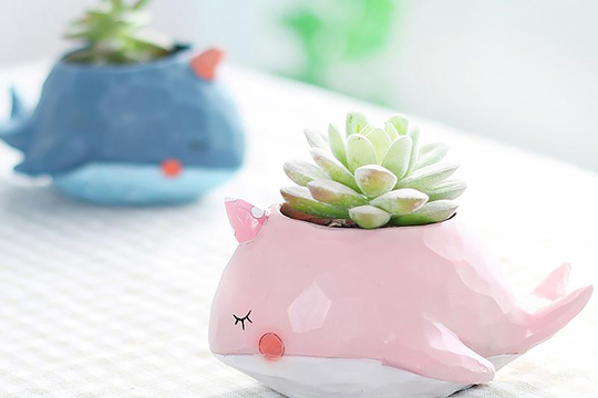 Animal Pots - Whale Planters Succulent Pots Made Of Resin | 13.5cm7cm