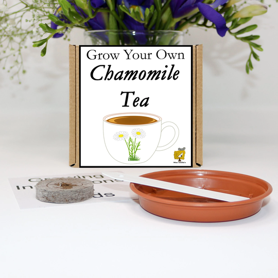 Grow Your Own Chamomile Tea Flowers Kit. Unusual, Gardening Gift, Birthday, Kids, Children, Him, Her, Seeds, Teacher Gift