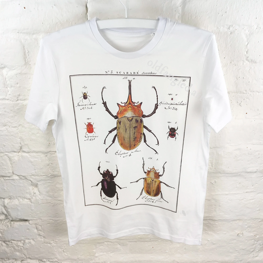 Scarab Beetles | 1789 - Unisex Organic T-Shirt, Vintage Style Zoology T-Shirt