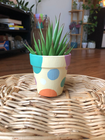 Polka Dot Pot