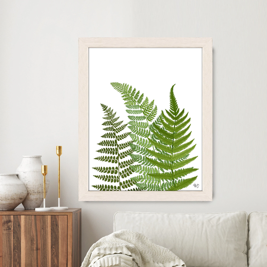 Fern Leaf Print, Illustration, Green Botanical Wall Art, Botany Picture, Room Decor, Art Garden Plant