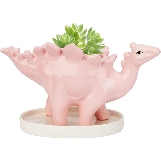 Dinosaur Ceramic Planter Pot, Succulent Pots, Succulent Flower Pot, Cute Mini Planter Pots for Art, Vase, Garden, Desk Decor (Not Plants).