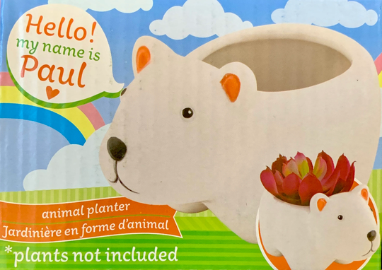 Succulent Ceramic "Polar Bear