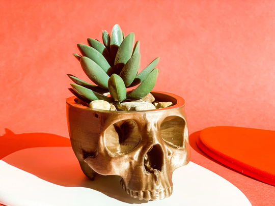 Skull Planter Human Skull Planter Succulent Pots Hanging Gothic Home Halloween Theskull