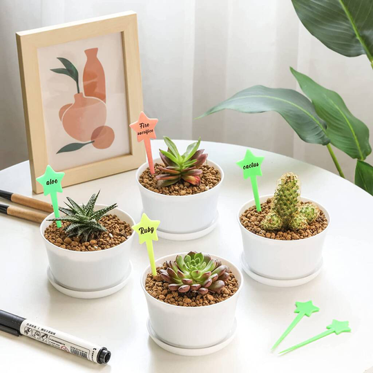 Pack Of Six Small White Plastic Plant Pot