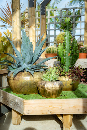 Reki Brass Effect Planter