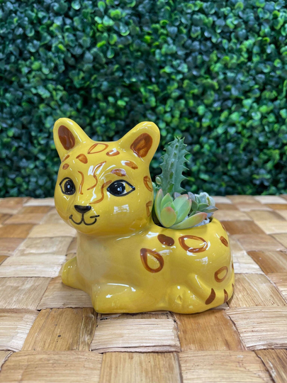 Cheetah Succulent Kit W/Planter/Custom Arrangement/Jaguar/Animal/Easy/ Plant Container/ Ceramic Pot/ Office Gift/ Kids Craft/Safari