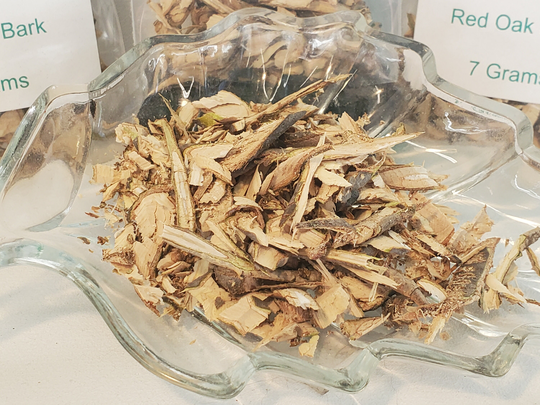 Red Oak, The Magical Oak Appears in Many Ancient Spells, Charms & Amulet Instructions, Metaphysical Shop, Wiccan Shop, Witchcraft, Herb Shop