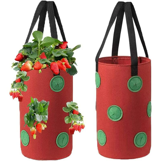 Aougo - 2 Pcs 3 Gallon Strawberry Planting Bag, Strawberry Grow Bags, Hanging Plant Bags with 12 Holes, for Strawberries, Herbs, Flowers, 20x35CM