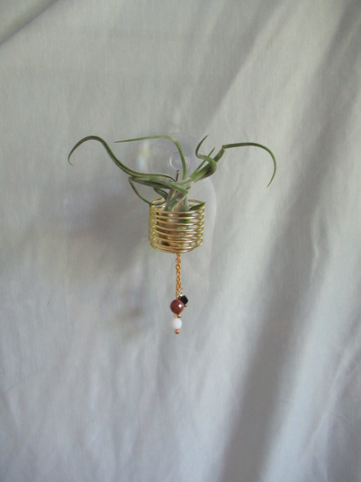 Window Wire Air Plant Hanger Large Gold - Tillandsia