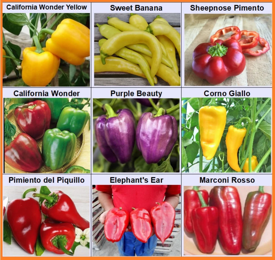 Sweet Pepper 9 Varieties , Paprika Seeds Heirloom, Open Pollinated, Non-Gmo
